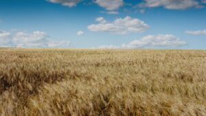 Coastlands Church | Brighton, South Australia