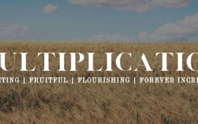 Spiritual Multiplication